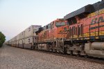 BNSF 6544 Roster shot